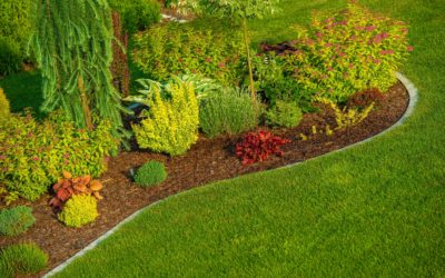 Questions to Ask Before You Hire a Landscaping Service